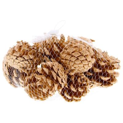 Bag Of Gold Natural Pinecones